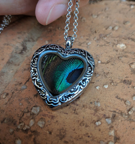 Collier médaillon coeur en plumes de paon véritable