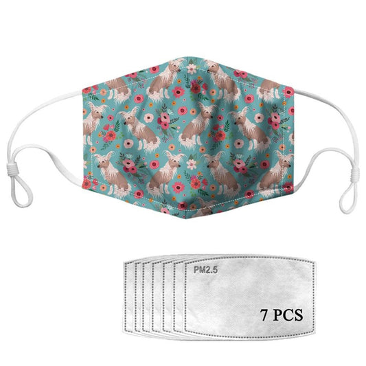 Pointer-Hundemaske mit Filtern