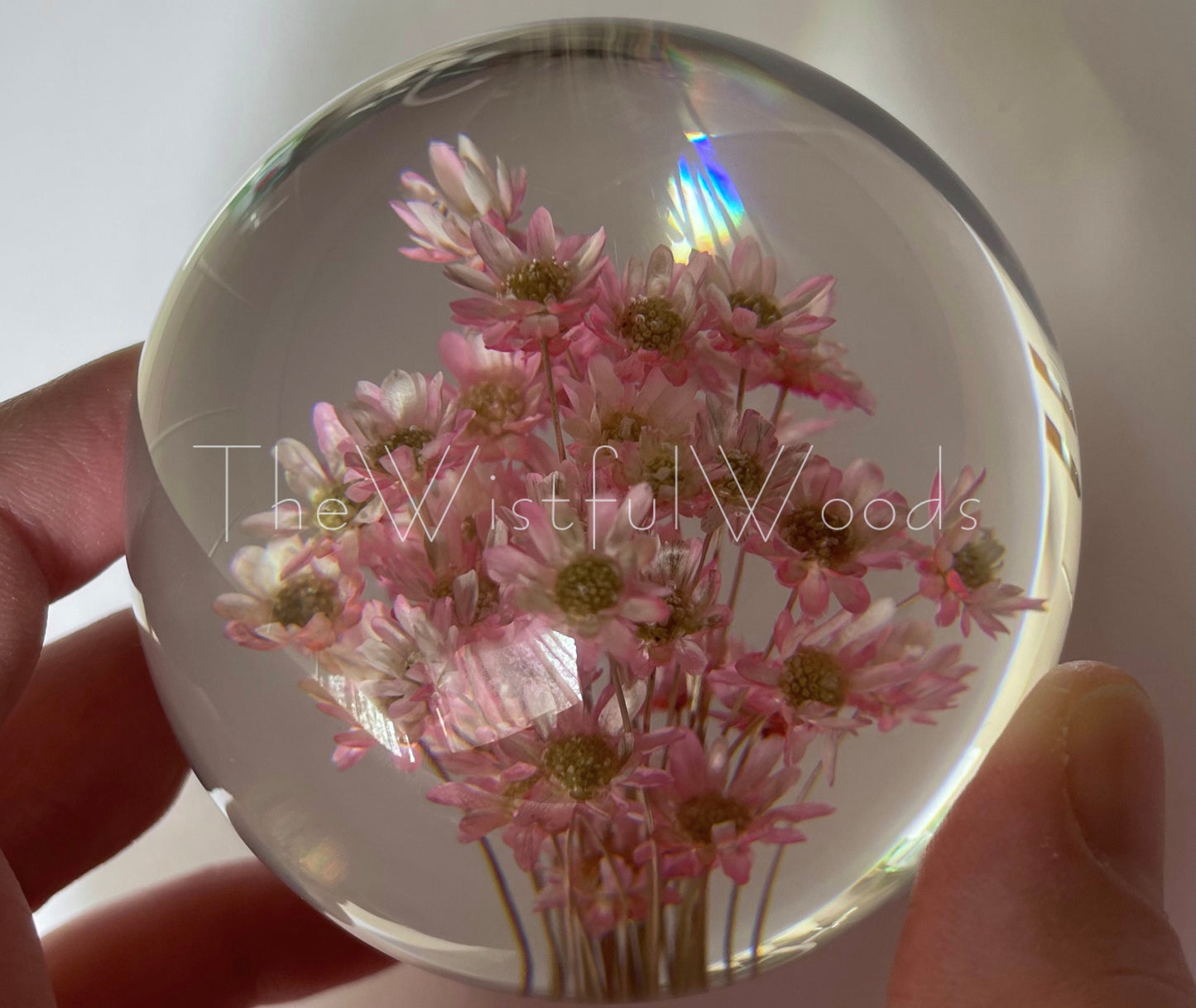 Woodland Daisy Resin Paperweight