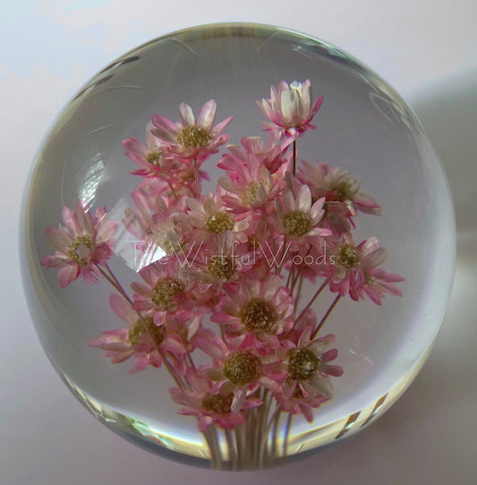 Woodland Daisy Resin Paperweight