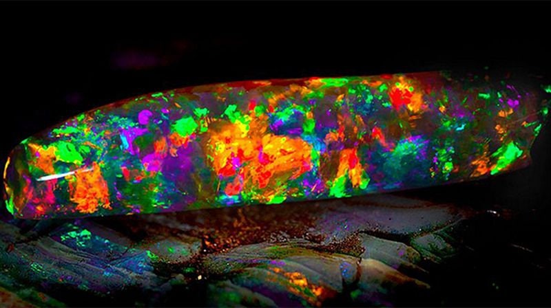 Closeup of black fire opal stone displaying vibrant colors.