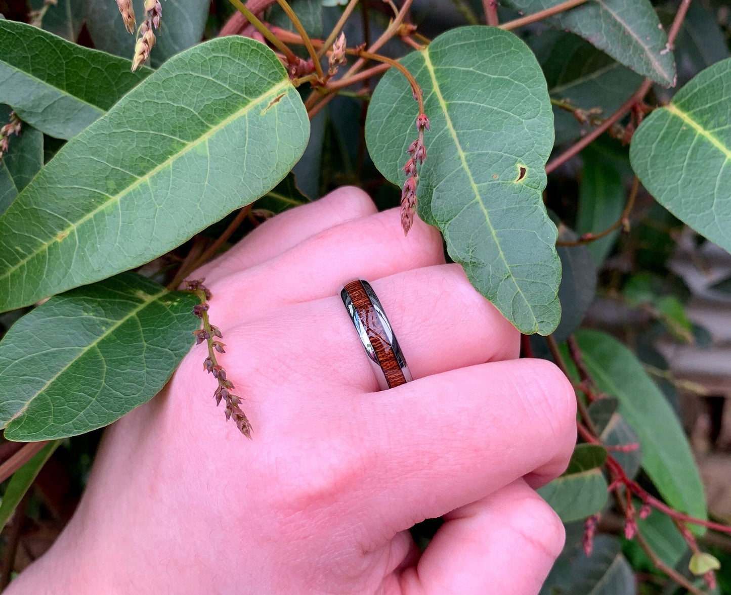 Hawaiian koa wood wedding bands with polished silver Tungsten edges, worn on finger, surrounded by green leaves.