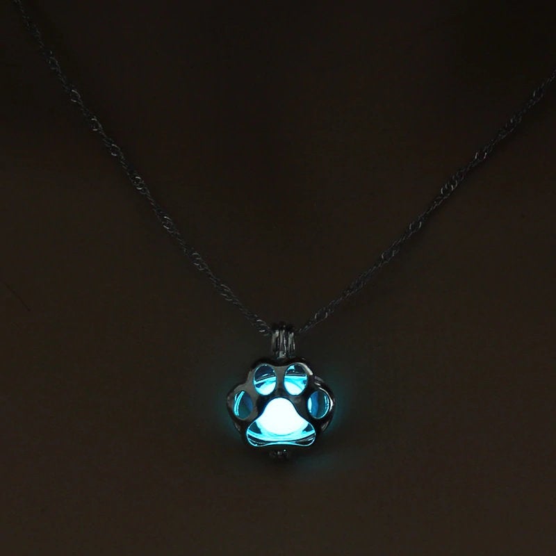 Glow In The Dark Paw Print Pet Memorial Necklace