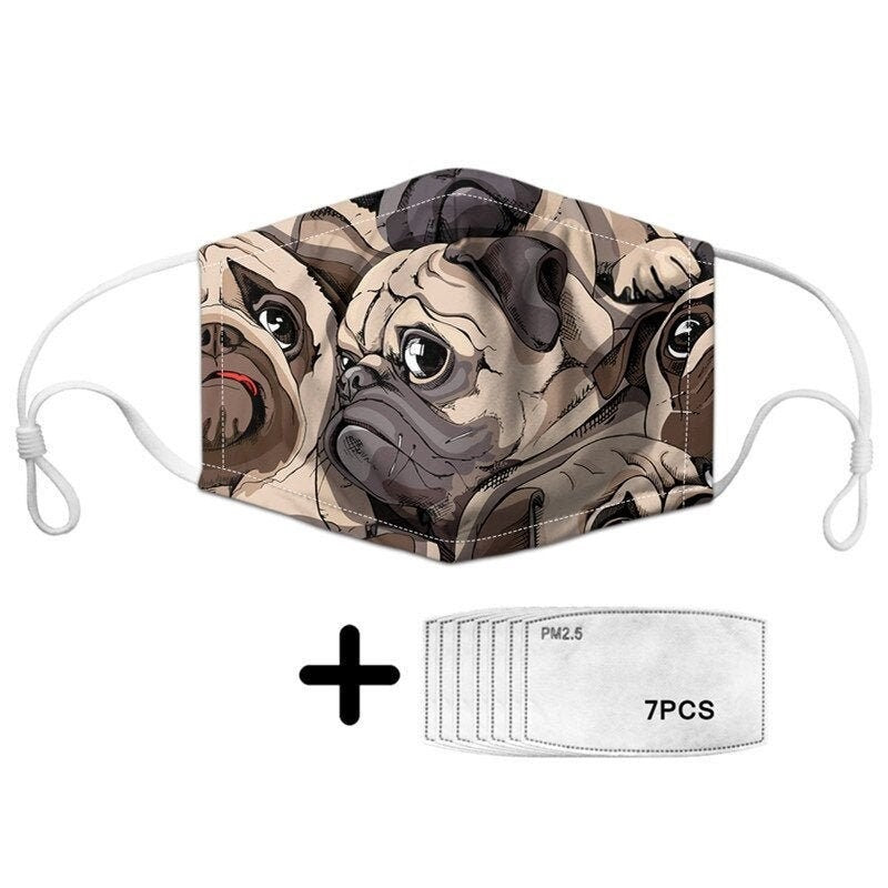 Mops-Pack-Maske mit Filtern