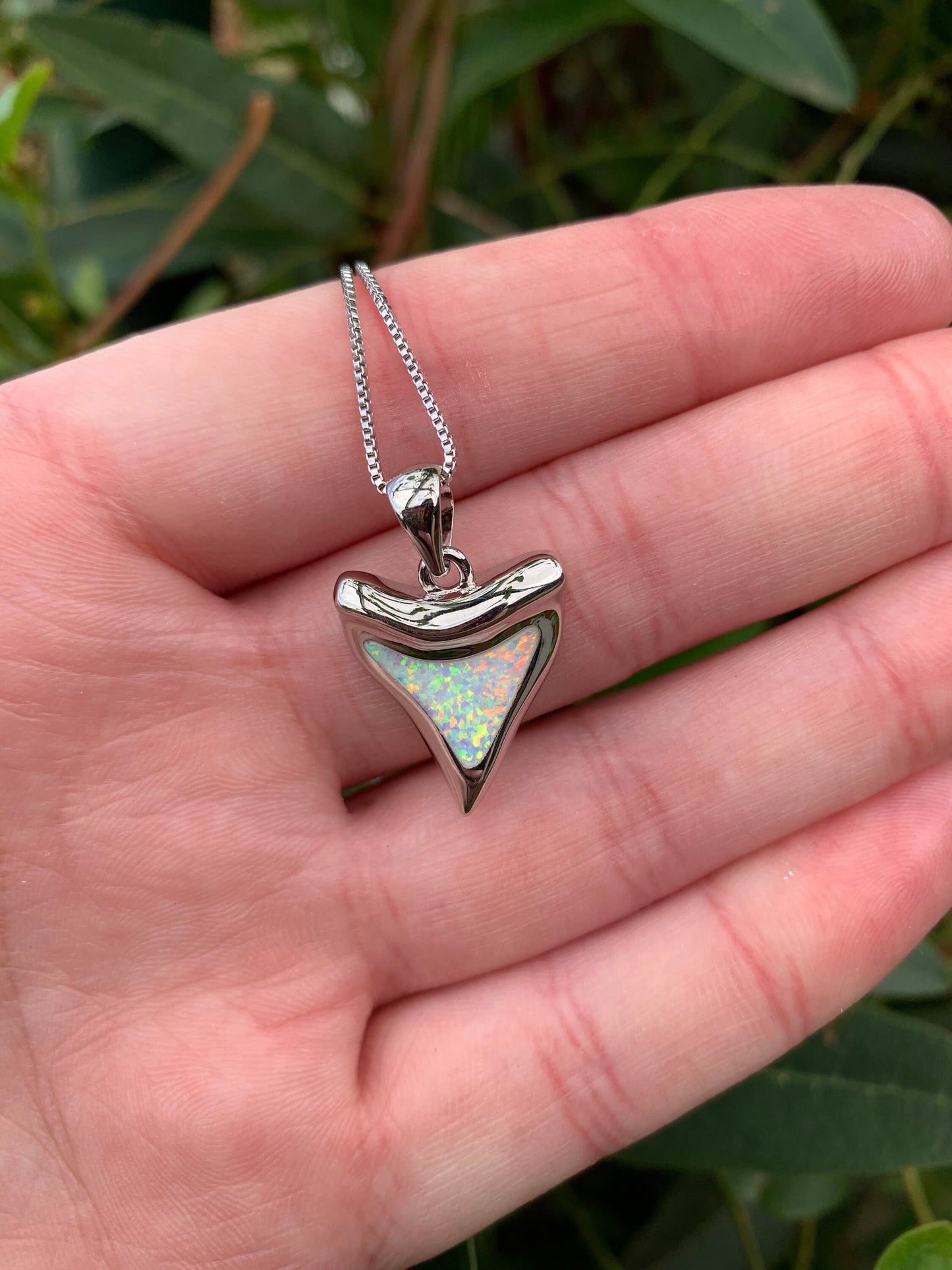 Tiger Shark Tooth Opal Necklace