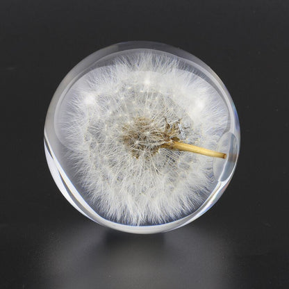 Real Dandelion Paperweight