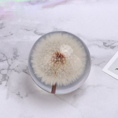 Real Dandelion Paperweight