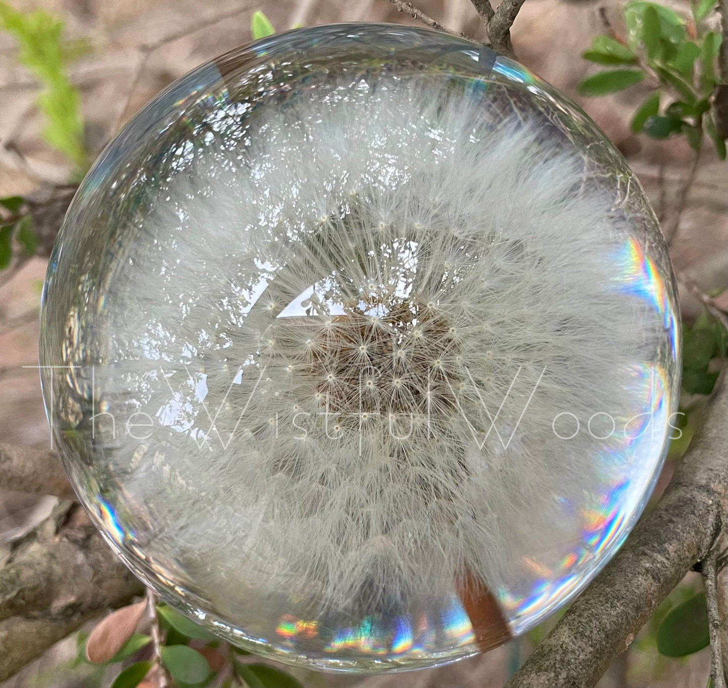 Preserved Dandelion Resin Keepsake