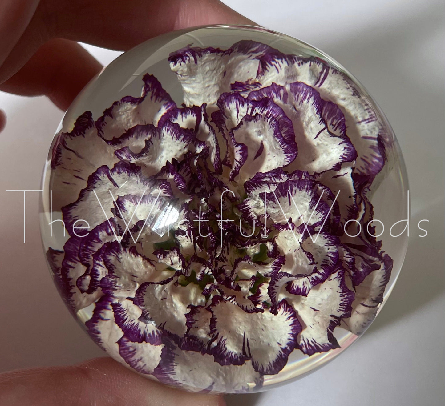 Purple Carnation in Resin