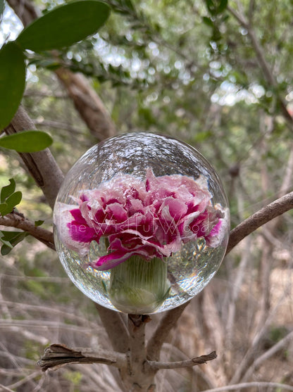 Pink Carnation Flower Resin Paperweight