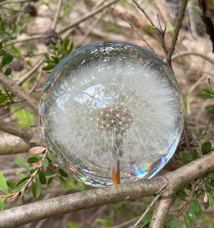 Preserved Dandelion Resin Keepsake