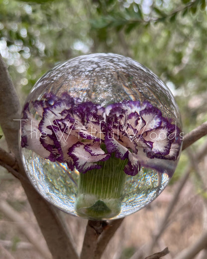 Purple Carnation in Resin