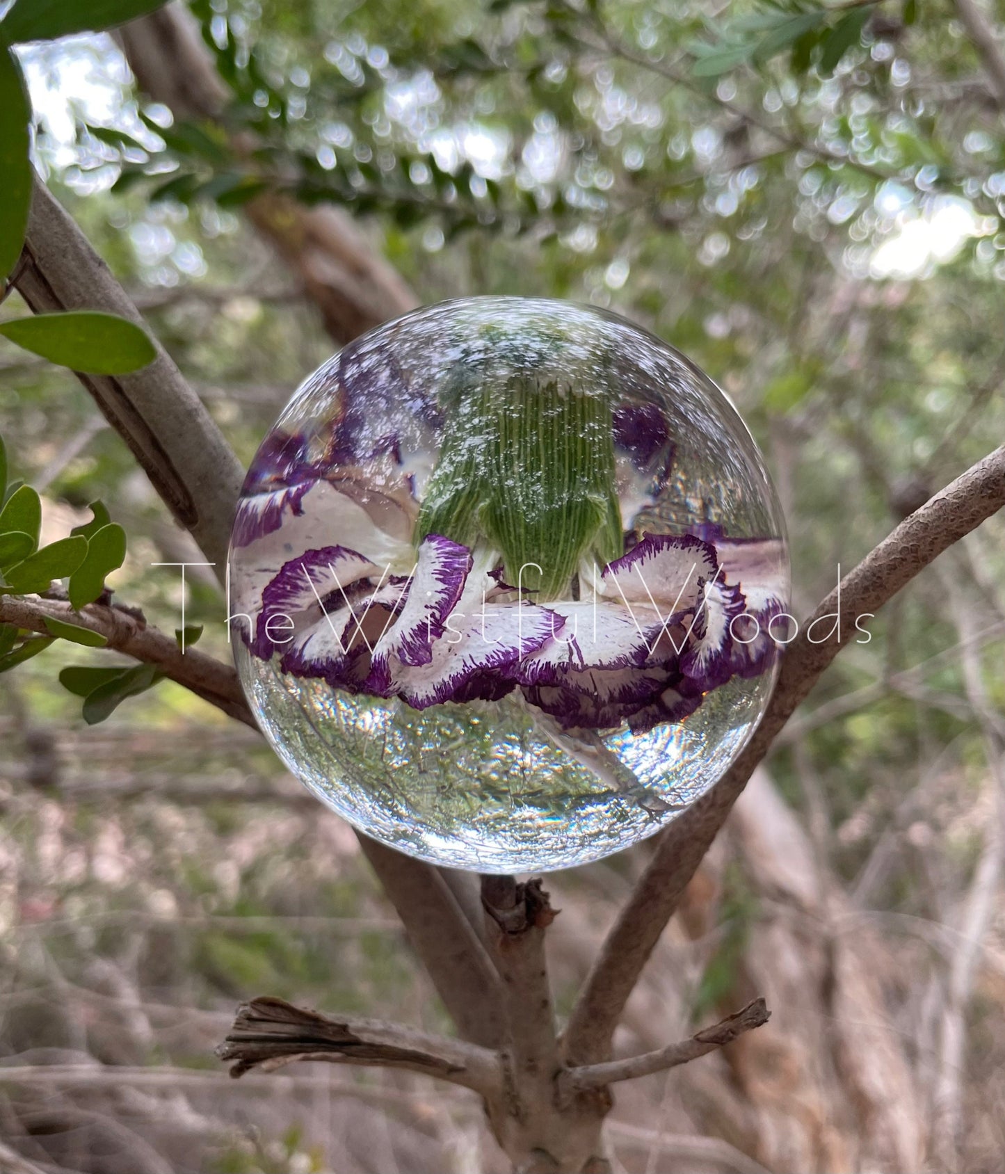 Purple Carnation in Resin