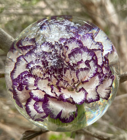 Purple Carnation in Resin