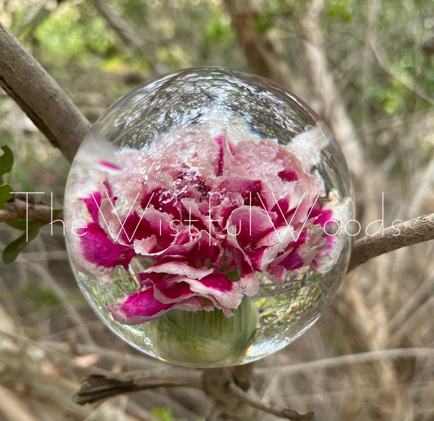 Pink Carnation Flower Resin Paperweight