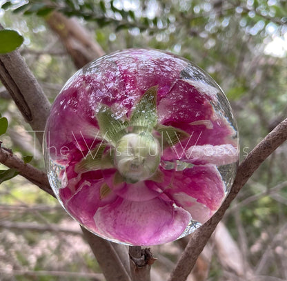 Pink Carnation Flower Resin Paperweight