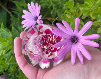 Pink Carnation Flower Resin Paperweight