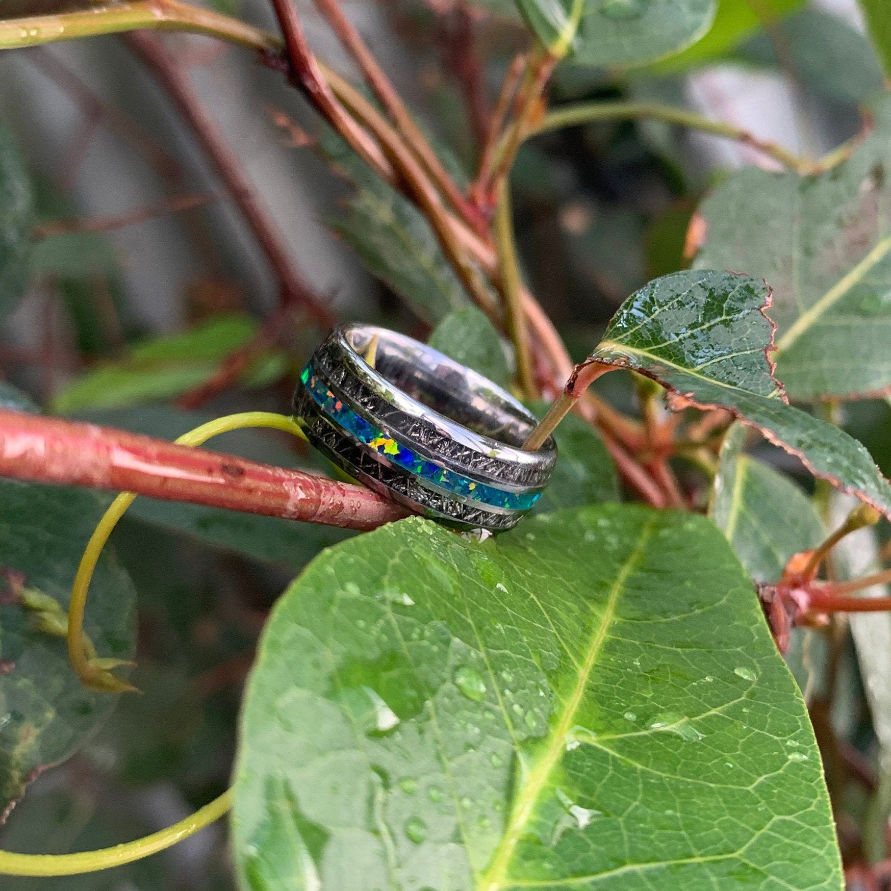 Tungsten opal ring with meteorite inlay on wet green leaves.